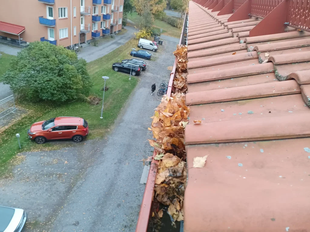 Tukkeutunut versikouru